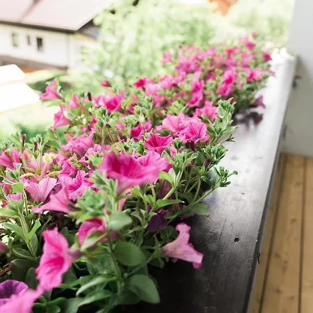 招待所 富源宾馆 3*